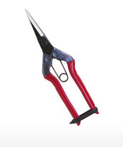 Chikamasa - T-550 - IncrediGrow, chikamasa, chikamassa, chimakasa, clippers, cut, cutting, open, proof, scissor, scissors, sheer, sheers, sissors, slice, trim, trimmers, trimming Tools, Accessories & Books