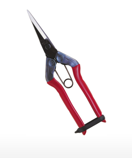 chikamasa garden scissors b500slf Chikamasa